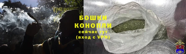 спиды Бронницы