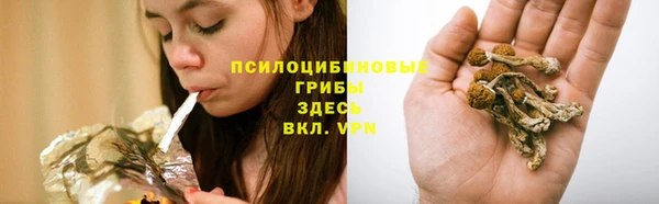 спиды Бронницы