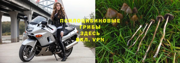 apvp Бугульма